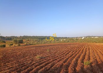 Foto 13 - Baita C.da Carpari, Martina Franca - photo 13