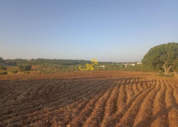 Foto 14 - Baita C.da Carpari, Martina Franca - photo 14