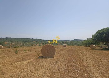 Foto 15 - Baita C.da Carpari, Martina Franca - photo 15