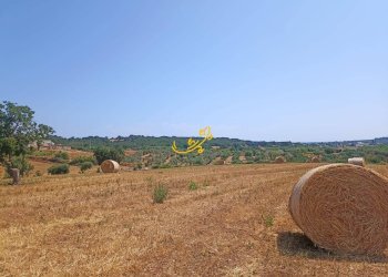 Foto 16 - Baita C.da Carpari, Martina Franca - photo 16