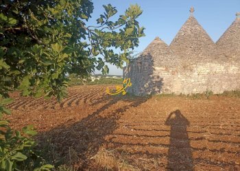 Foto 18 - Baita C.da Carpari, Martina Franca - photo 18