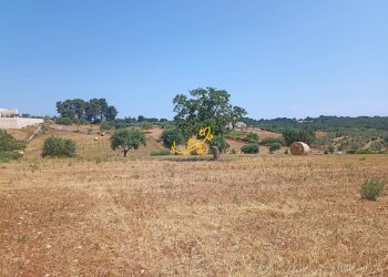 Foto 19 - Baita C.da Carpari, Martina Franca - photo 19