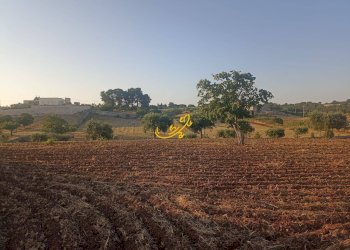 Foto 21 - Baita C.da Carpari, Martina Franca - photo 21