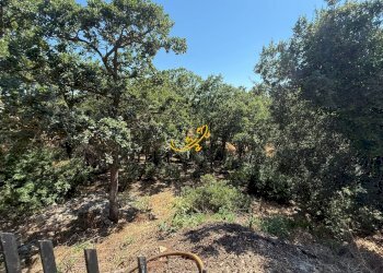 Foto 26 - Villa Laureto, Fasano - foto 26