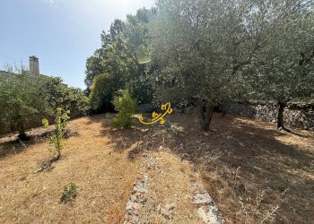 Foto 29 - Villa C. da Laureto, Fasano - foto 29