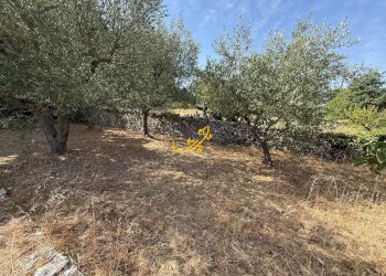 Foto 30 - Villa C. da Laureto, Fasano - foto 30