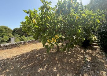 Foto 31 - Villa C. da Laureto, Fasano - foto 31