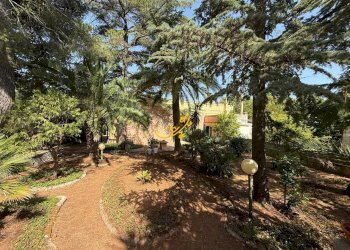 Foto 33 - Villa C. da Laureto, Fasano - foto 33