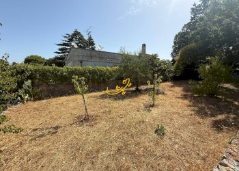 Foto 35 - Villa C. da Laureto, Fasano - foto 35