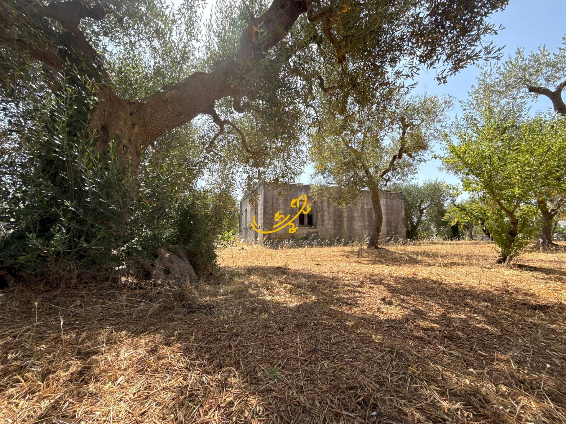 Foto 2 - Rustico C.da Balice, Monopoli - foto 2