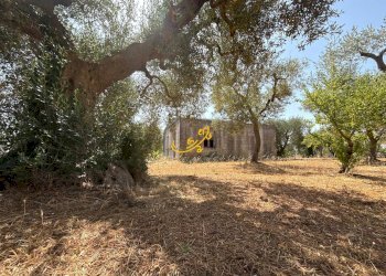 Foto 2 - Rustico C.da Balice, Monopoli - foto 2