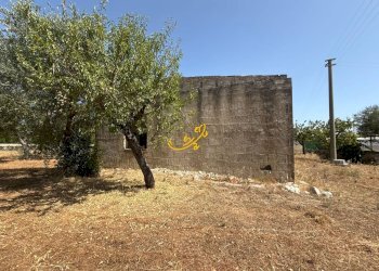 Foto 13 - Rustico C.da Balice, Monopoli - foto 13