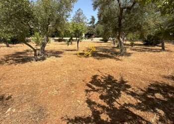 Foto 14 - Rustico C.da Balice, Monopoli - foto 14