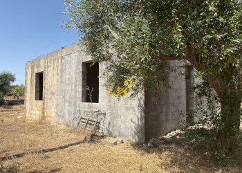 Foto 15 - Rustico C.da Balice, Monopoli - foto 15