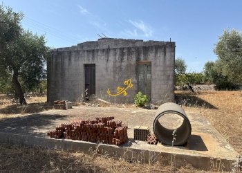 Foto 16 - Rustico C.da Balice, Monopoli - foto 16