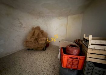 Foto 15 - Baita C.da L'Assunta, Monopoli - foto 15