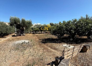 Foto 20 - Baita C.da L'Assunta, Monopoli - foto 20