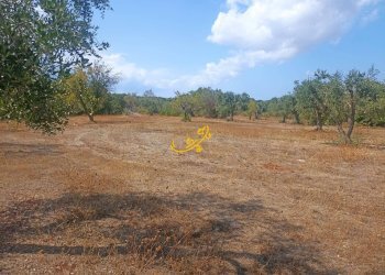 Foto 8 - Baita Contrada Ulmo, Ceglie Messapica - foto 8