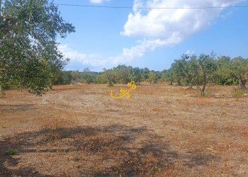 Foto 10 - Baita Contrada Ulmo, Ceglie Messapica - foto 10