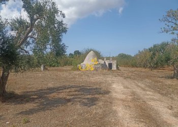 Foto 12 - Baita Contrada Ulmo, Ceglie Messapica - foto 12