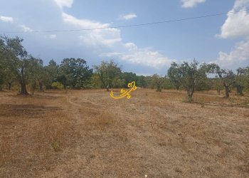 Foto 13 - Baita Contrada Ulmo, Ceglie Messapica - foto 13