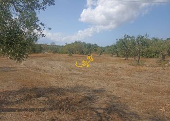 Foto 25 - Baita Contrada Ulmo, Ceglie Messapica - foto 25