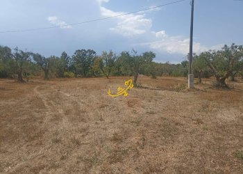 Foto 26 - Baita Contrada Ulmo, Ceglie Messapica - foto 26