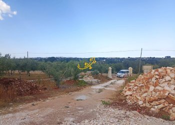 Foto 6 - Rustico Contrada Galante, Ostuni - foto 6