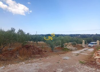 Foto 8 - Rustico Contrada Galante, Ostuni - foto 8