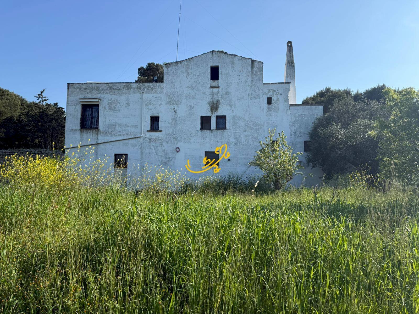 Foto 3 - Rustico C.da Santo Stefano, Conversano - foto 3