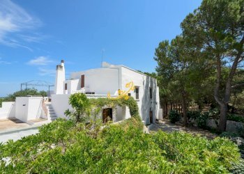 Foto 2 - Rustico C.da Santo Stefano, Conversano - foto 2