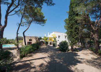 Foto 3 - Rustico C.da Santo Stefano, Conversano - foto 3