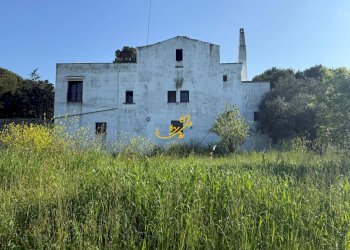 Foto 3 - Rustico C.da Santo Stefano, Conversano - foto 3