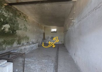 Foto 16 - Rustico CONTRADA CRISTO RE, Monopoli - foto 16