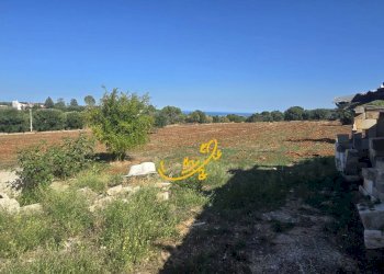 Foto 18 - Rustico CONTRADA CRISTO RE, Monopoli - foto 18