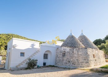 Foto 11 - Rustico Contrada Monte Pizzuto, Fasano - foto 11