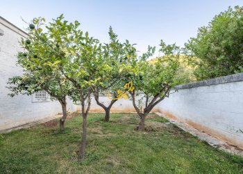 Foto 25 - Rustico Contrada Monte Pizzuto, Fasano - foto 25