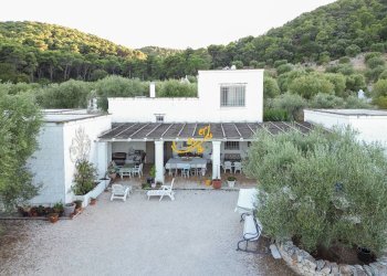 Foto 29 - Rustico Contrada Monte Pizzuto, Fasano - foto 29