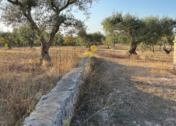 Foto 9 - Baita Contrada Monte del sale, Alberobello - foto 9