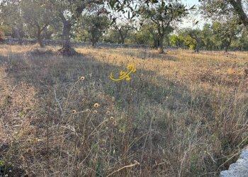 Foto 11 - Baita Contrada Monte del sale, Alberobello - foto 11