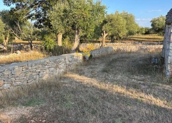 Foto 19 - Baita Contrada Monte del sale, Alberobello - foto 19