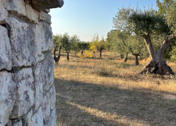 Foto 22 - Baita Contrada Monte del sale, Alberobello - foto 22