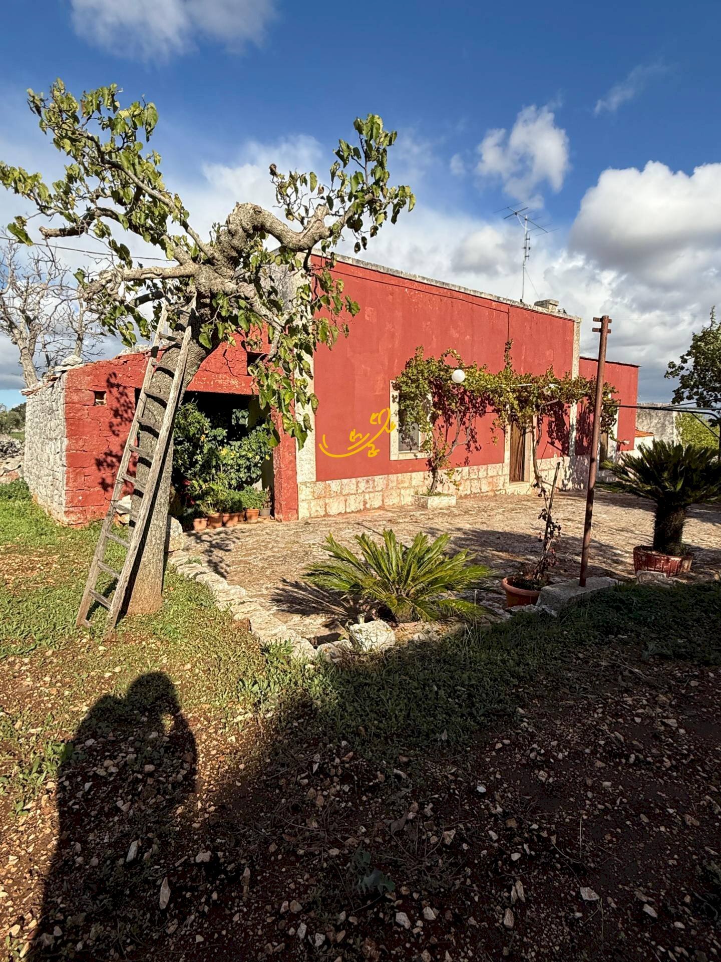 Foto 2 - Rustic Strada Comunale Genna, Castellana Grotte - photo 2