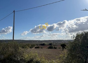 Foto 9 - Rustic Strada Comunale Genna, Castellana Grotte - photo 9