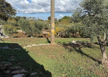 Foto 16 - Rustic Strada Comunale Genna, Castellana Grotte - photo 16