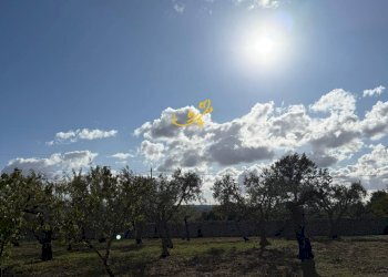 Foto 19 - Rustic Strada Comunale Genna, Castellana Grotte - photo 19