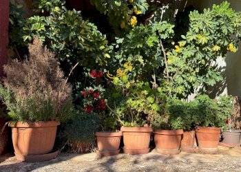 Foto 22 - Rustic Strada Comunale Genna, Castellana Grotte - photo 22