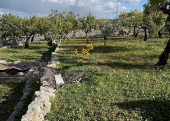 Foto 23 - Rustic Strada Comunale Genna, Castellana Grotte - photo 23