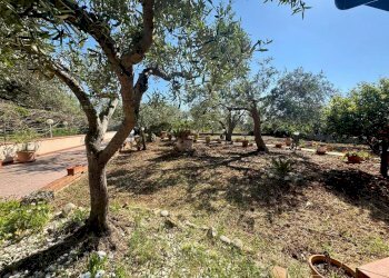 Foto 39 - Villa Via Calaporro
 
18, Terrasini - foto 37