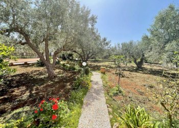 Foto 41 - Villa Via Calaporro
 
18, Terrasini - foto 39